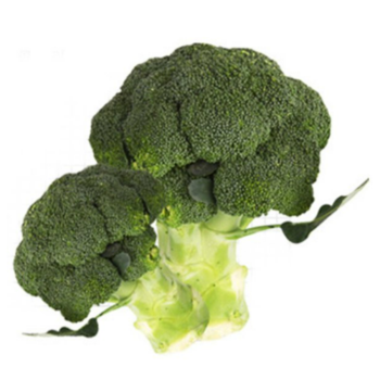 브로콜리외 쌈채소,샐러드,드레싱등